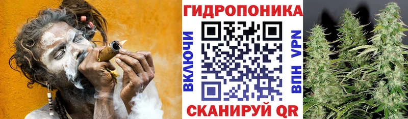 Виды наркоты Ишим ссылка на мегу tor Мефедрон ГАШИШ COCAIN A-PVP АМФЕТАМИН
