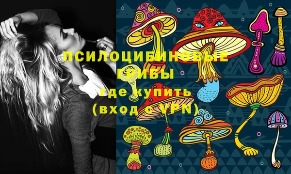 меф Пестово